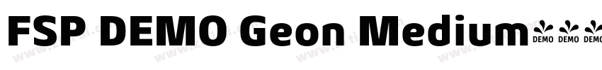 FSP DEMO Geon Medium字体转换